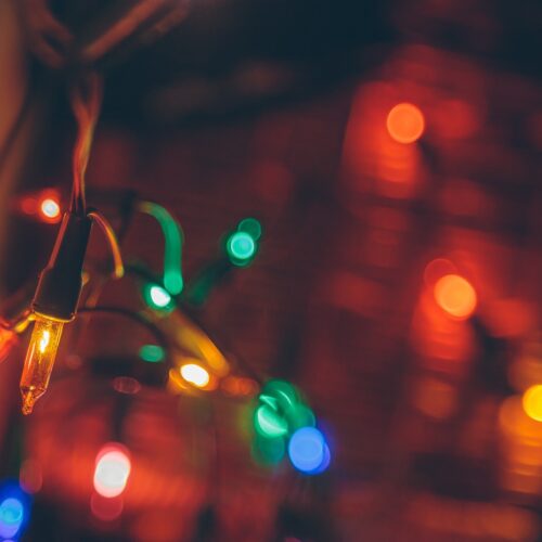 Holiday Lights Tours