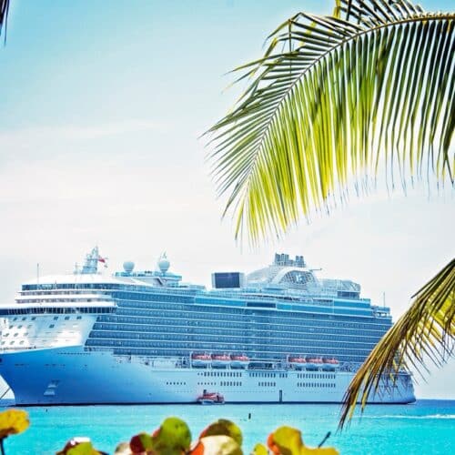 Cruise Terminal Transportation